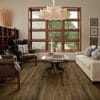 IMPACT 306C - BURMESE TEAK - Image 3