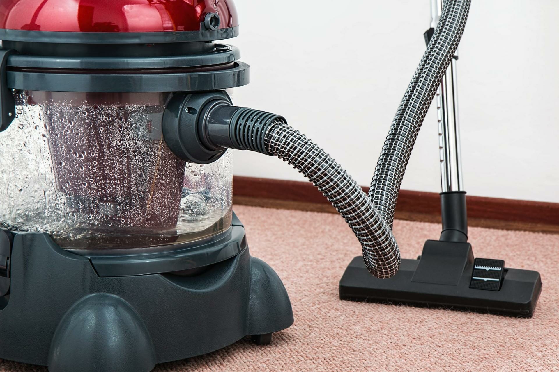Carpets Clean for Allergies