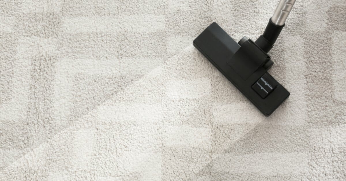 carpet cleaning minneapolis - A carpet undergoing carpet cleaning, with a visible line where a vacuum cleaner has removed a strip of dust and dirt.